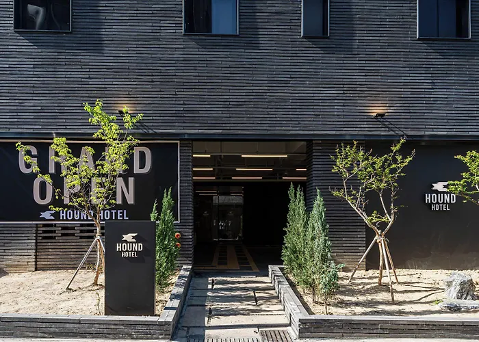Hound Daeyeon * 釜山