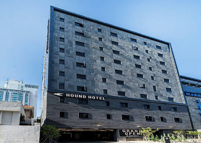 Hound Daeyeon 釜山